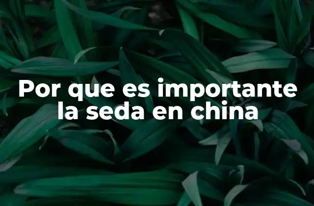 Por que es Importante la Seda en China