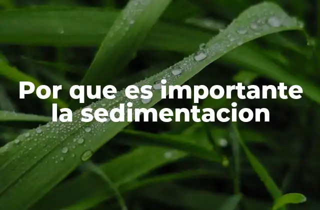 Por que es Importante la Sedimentacion 2 El papel de la sedimentación en la formación del relieve terrestre
