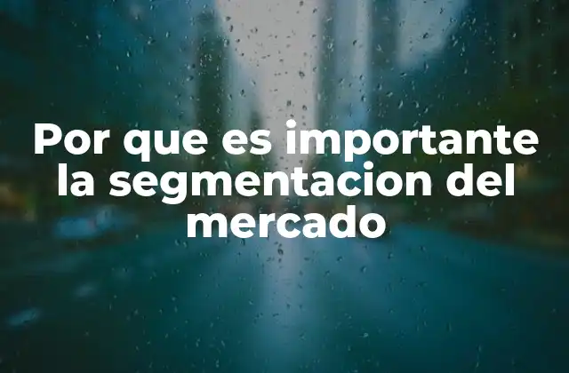 Por que es Importante la Segmentacion Del Mercado