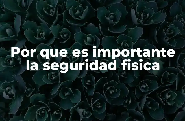 Por que es Importante la Seguridad Fisica