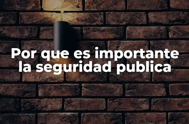 La relación entre la seguridad pública y el desarrollo social