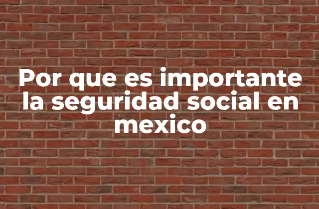 Por que es Importante la Seguridad Social en Mexico
