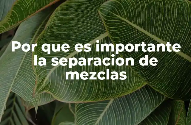 Por que es Importante la Separacion de Mezclas