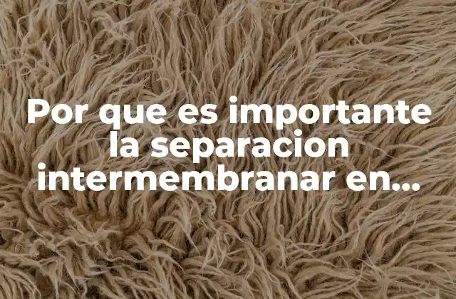 Por que es Importante la Separacion Intermembranar en Celular Procarionte