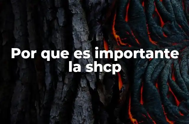 Por que es Importante la Shcp