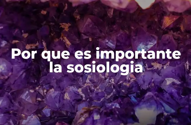 Por que es Importante la Sosiologia