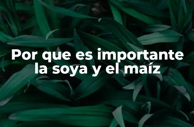 Por que es Importante la Soya y el Maíz
