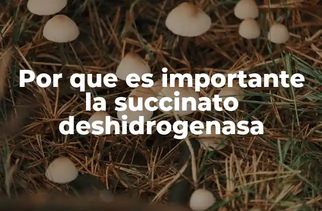 Por que es Importante la Succinato Deshidrogenasa