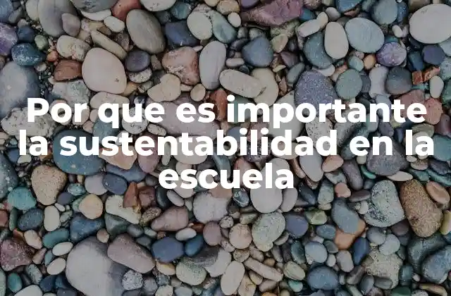 Por que es Importante la Sustentabilidad en la Escuela