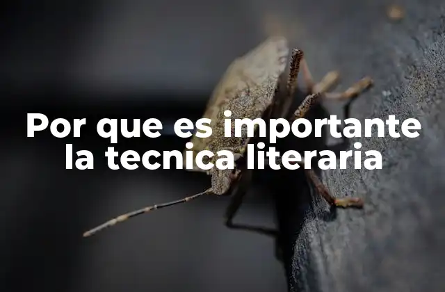 Por que es Importante la Tecnica Literaria