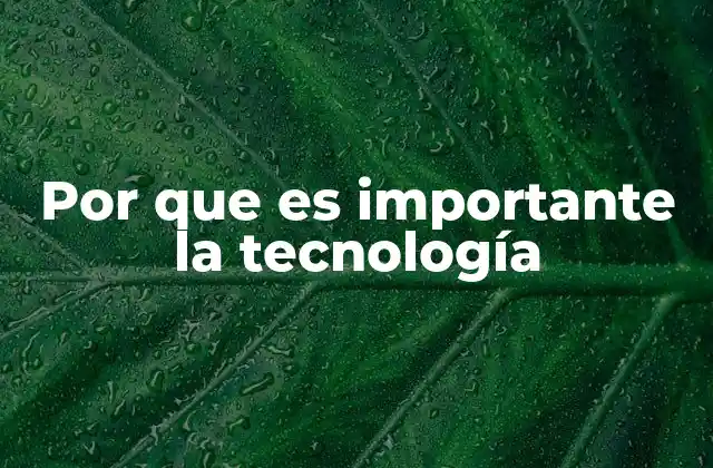 Por que es Importante la Tecnología