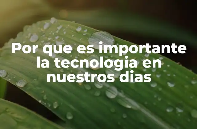 Por que es Importante la Tecnologia en Nuestros Dias