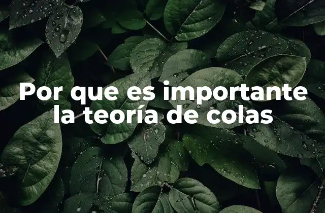 La gestión eficiente de recursos mediante modelos matemáticos