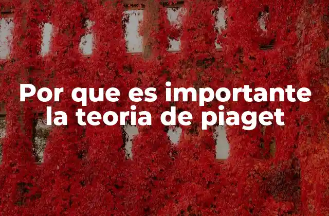 Por que es Importante la Teoria de Piaget