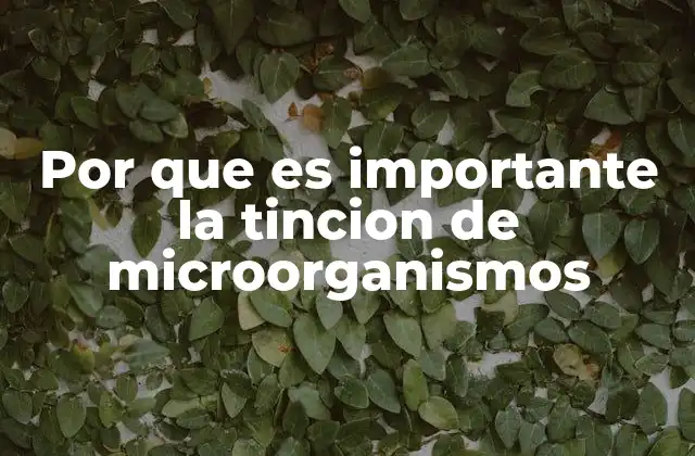 Por que es Importante la Tincion de Microorganismos