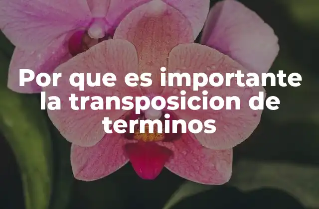 Por que es Importante la Transposicion de Terminos 2 El impacto de la transposición en la comunicación efectiva
