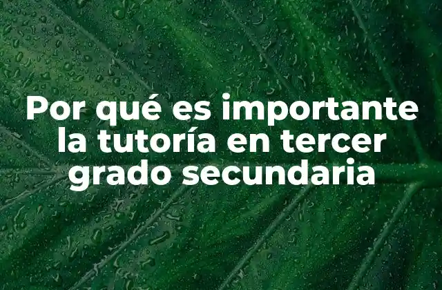 Por Qué es Importante la Tutoría en Tercer Grado Secundaria