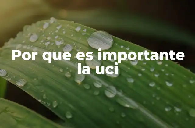 Por que es Importante la Uci
