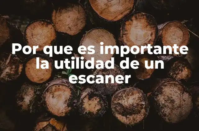 Por que es Importante la Utilidad de un Escaner