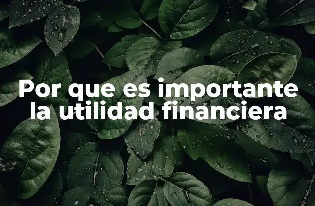 Por que es Importante la Utilidad Financiera