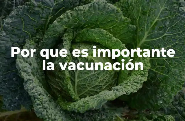 Por que es Importante la Vacunación