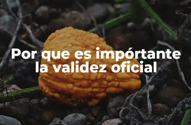 Por que es Impórtante la Validez Oficial 2 El impacto de la ausencia de validez oficial