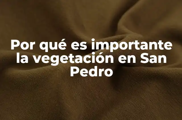 Por Qué es Importante la Vegetación en San Pedro