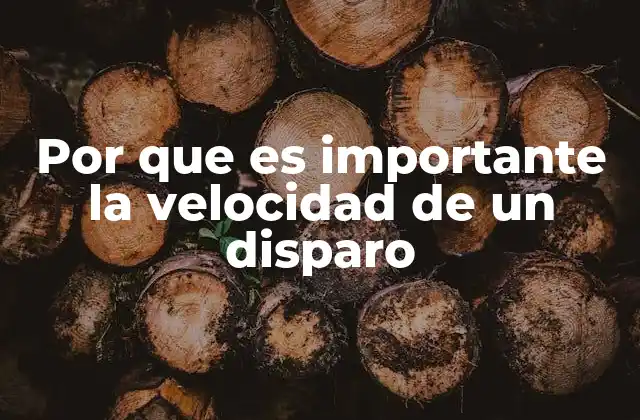 Por que es Importante la Velocidad de un Disparo