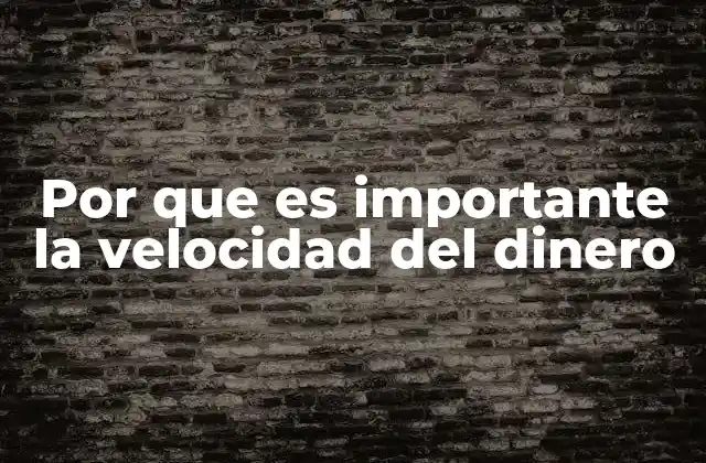 Por que es Importante la Velocidad Del Dinero