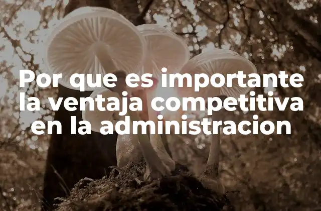 Por que es Importante la Ventaja Competitiva en la Administracion