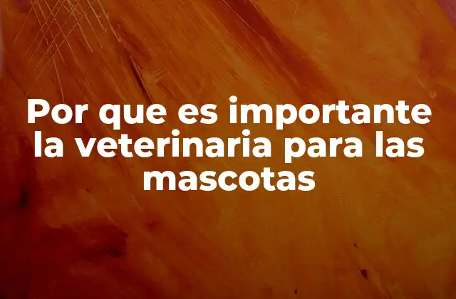 Por que es Importante la Veterinaria para las Mascotas