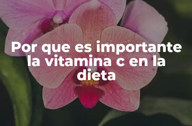 Por que es Importante la Vitamina C en la Dieta