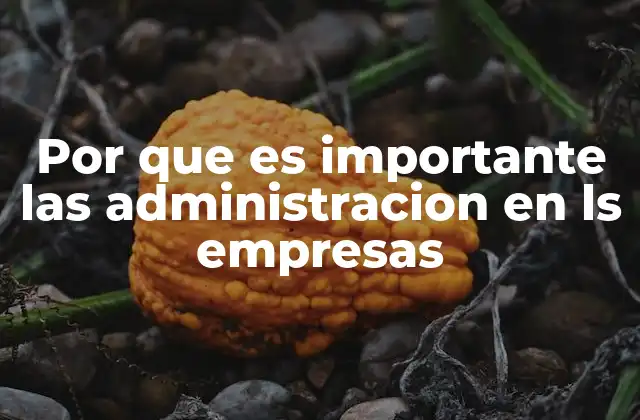 Por que es Importante las Administracion en Ls Empresas