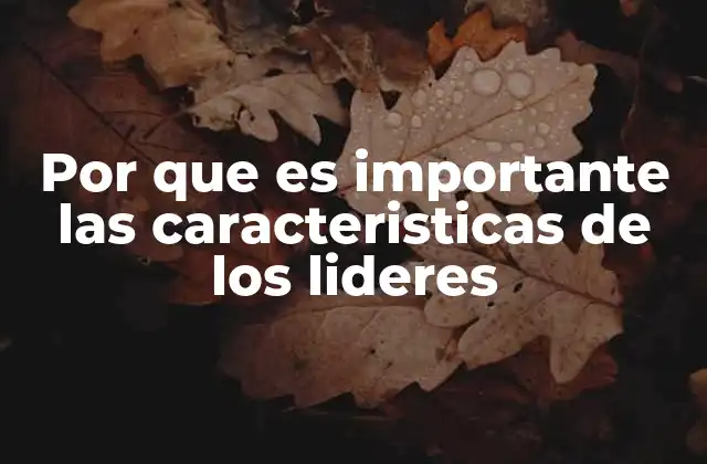 Por que es Importante las Caracteristicas de los Lideres