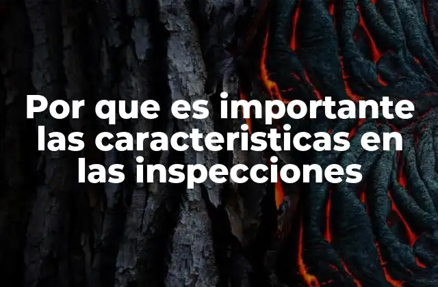 Por que es Importante las Caracteristicas en las Inspecciones