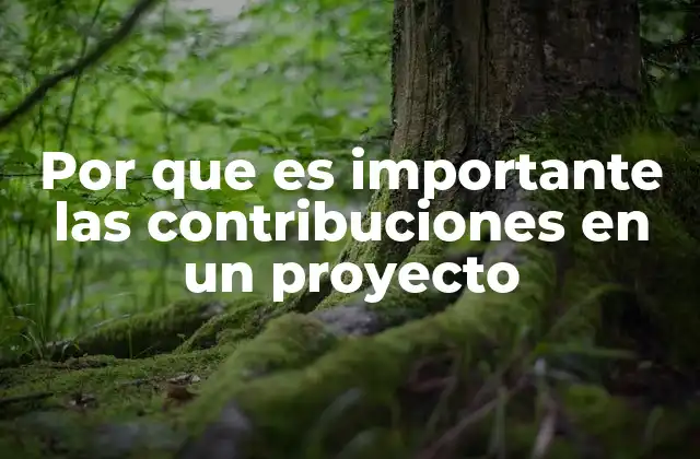 Por que es Importante las Contribuciones en un Proyecto