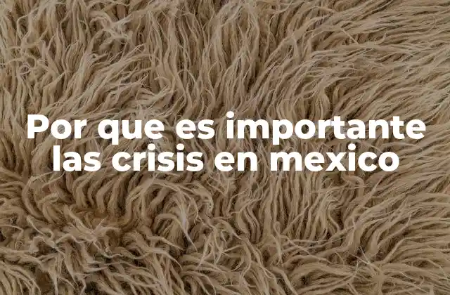 El impacto de las crisis en la evolución social y política de México