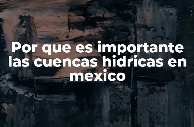 Por que es Importante las Cuencas Hidricas en Mexico