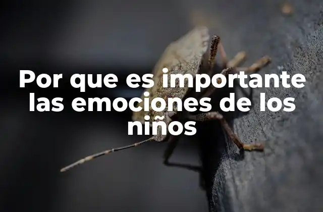 Por que es Importante las Emociones de los Niños