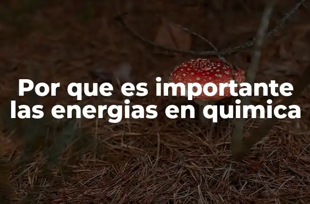Por que es Importante las Energias en Quimica
