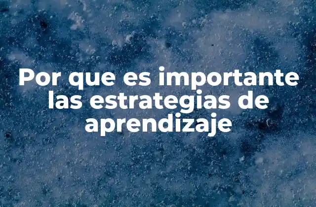 Por que es Importante las Estrategias de Aprendizaje