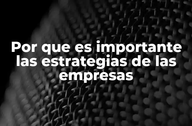Por que es Importante las Estrategias de las Empresas