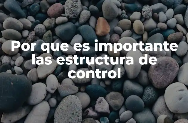 Por que es Importante las Estructura de Control