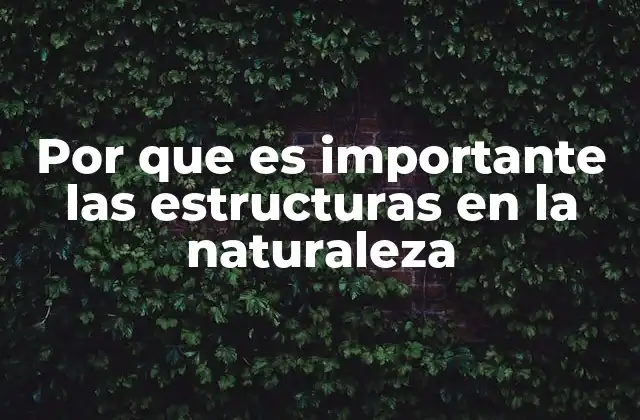 Por que es Importante las Estructuras en la Naturaleza