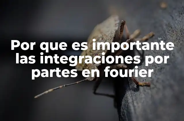 Por que es Importante las Integraciones por Partes en Fourier