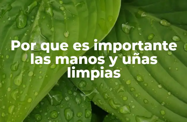 Por que es Importante las Manos y Uñas Limpias