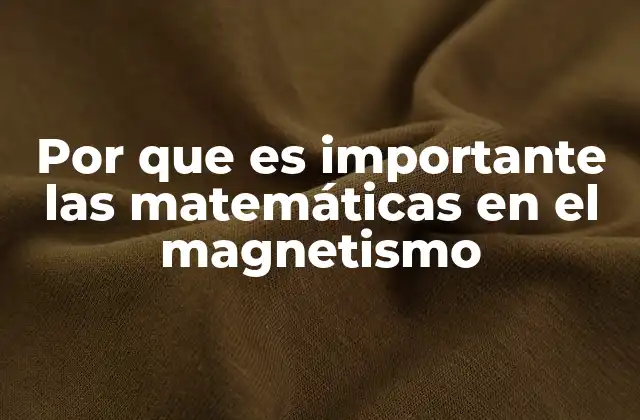 Por que es Importante las Matemáticas en el Magnetismo