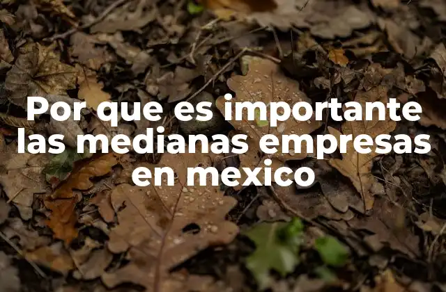 Por que es Importante las Medianas Empresas en Mexico