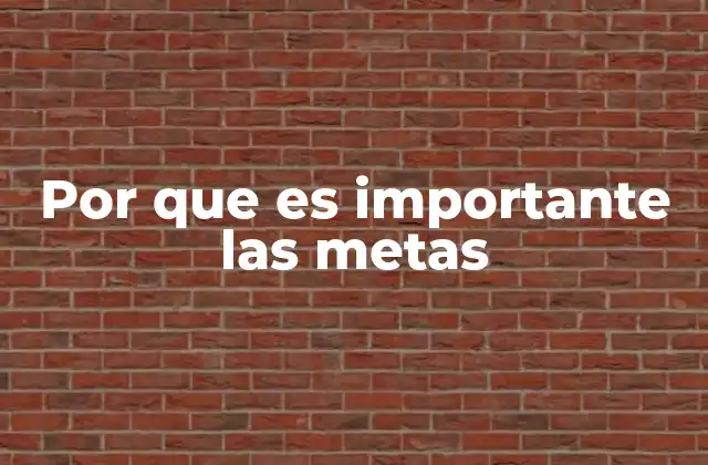 Por que es Importante las Metas