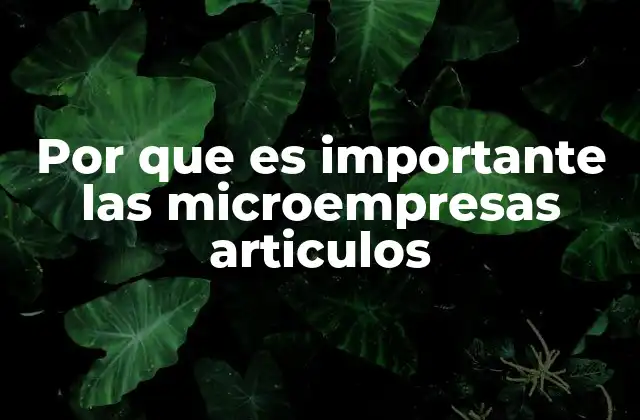 Por que es Importante las Microempresas Articulos